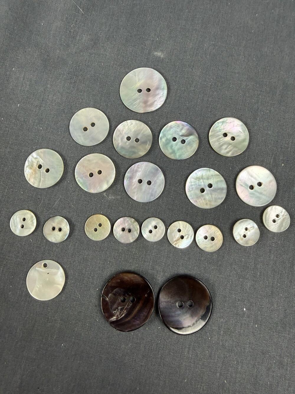 Lot of 22 Abalone Shell Buttons 2-Hole Mixed Colors Assorted Sizes 1/2"-1"
